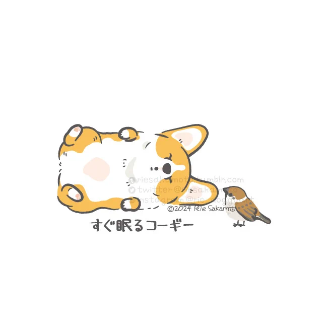 パピーのときのコーギーあるある/すぐ眠るコーギー(1/9) 
