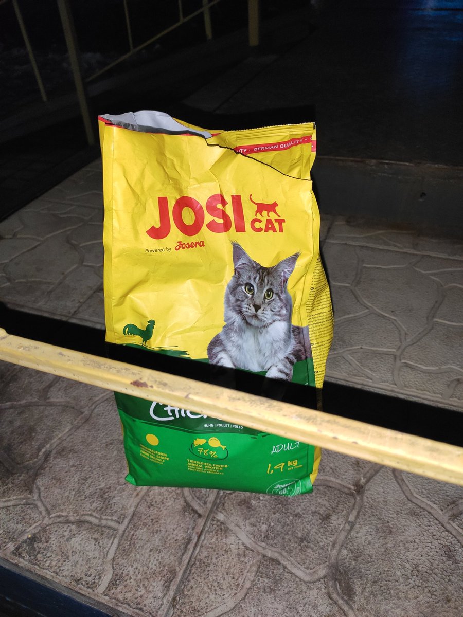kittyzht's tweet photo. сьогодні в них отаке смачне

і чотири лапи мокрий

на корм
https://t.co/mdOGfW0lDH https://t.co/xve3NJgTKn