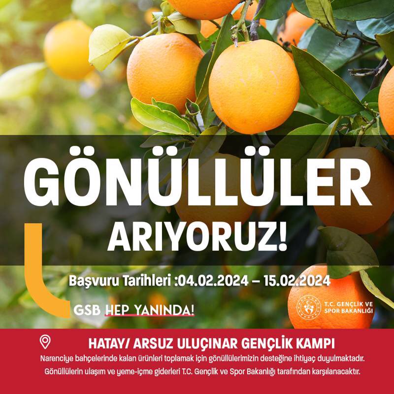 gsb_eak's tweet photo. 📢 Hatay’da dalında kalan narenciyenin toplanması için siz gönüllülerimize sesleniyoruz! 🍊🧺

Detaylı bilgi için ⬇️
https://t.co/wKgJWL0jhK https://t.co/NyawlrXXEl