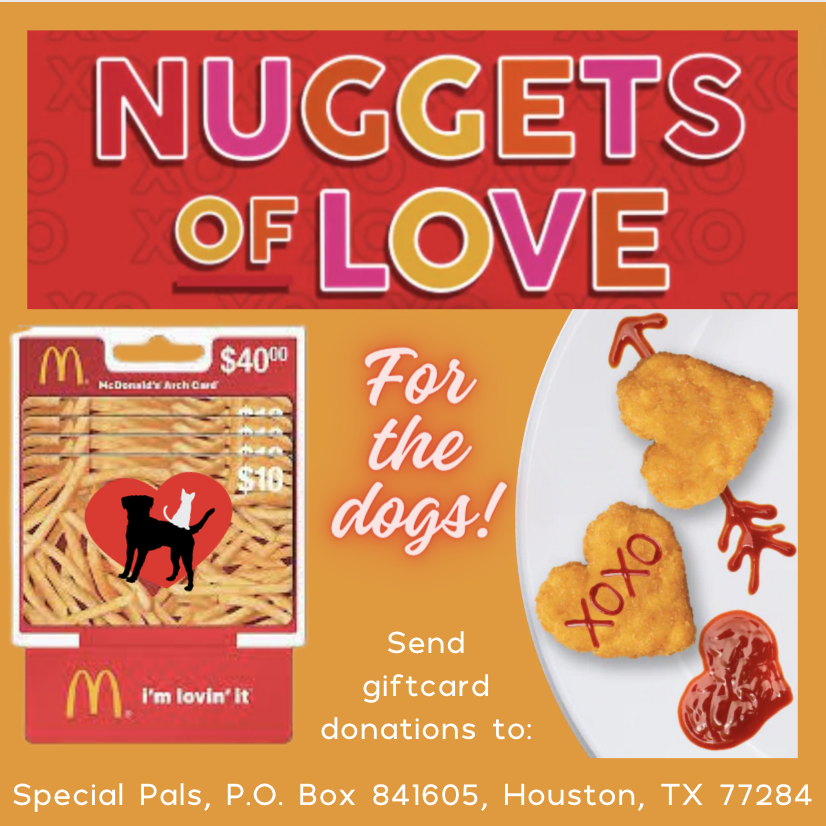 wildtunesmt's tweet photo. Our puppies at @SpecialPals love @McDonalds chicken nuggets! Show some love by donating McDonald's gift cards to this wonderful organization. Check out the address below to help feed our furry friends some yummy nuggets! #adoptdontshop #wildtunes #wildtunesbyyuvi #musicforanimals https://t.co/3S3LGk233K