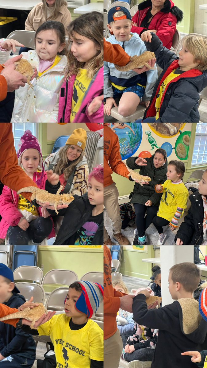 Nicolette Samardich (@mssamardich) on Twitter photo On Monday, first grade went to Tanglewood to learn all about some animals and their adaptations! <a href="/WestSchoolLBNY/">West School</a> On Monday, first grade went to Tanglewood to learn all about some animals and their adaptations! <a href="/WestSchoolLBNY/">West School</a>