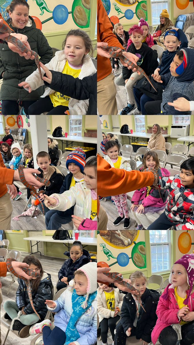 Nicolette Samardich tweet media