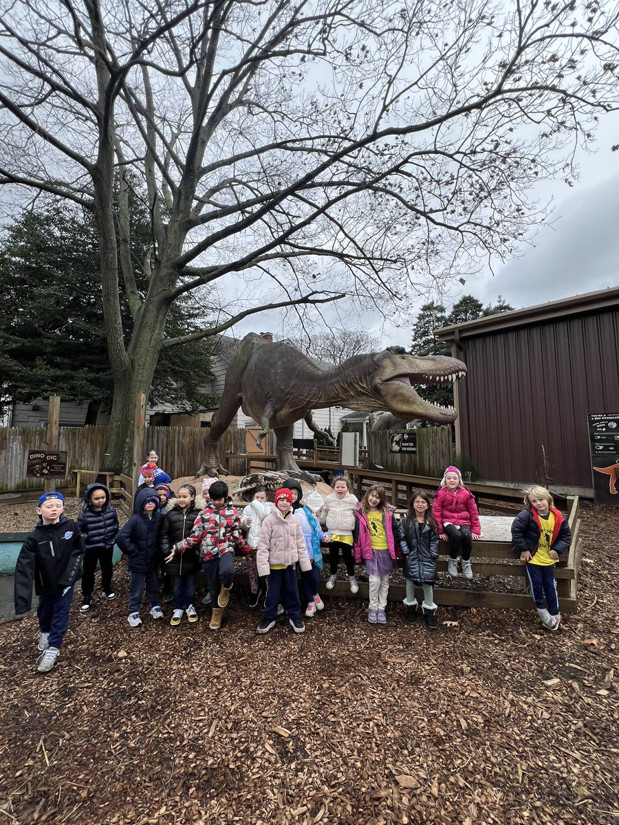 Nicolette Samardich tweet media