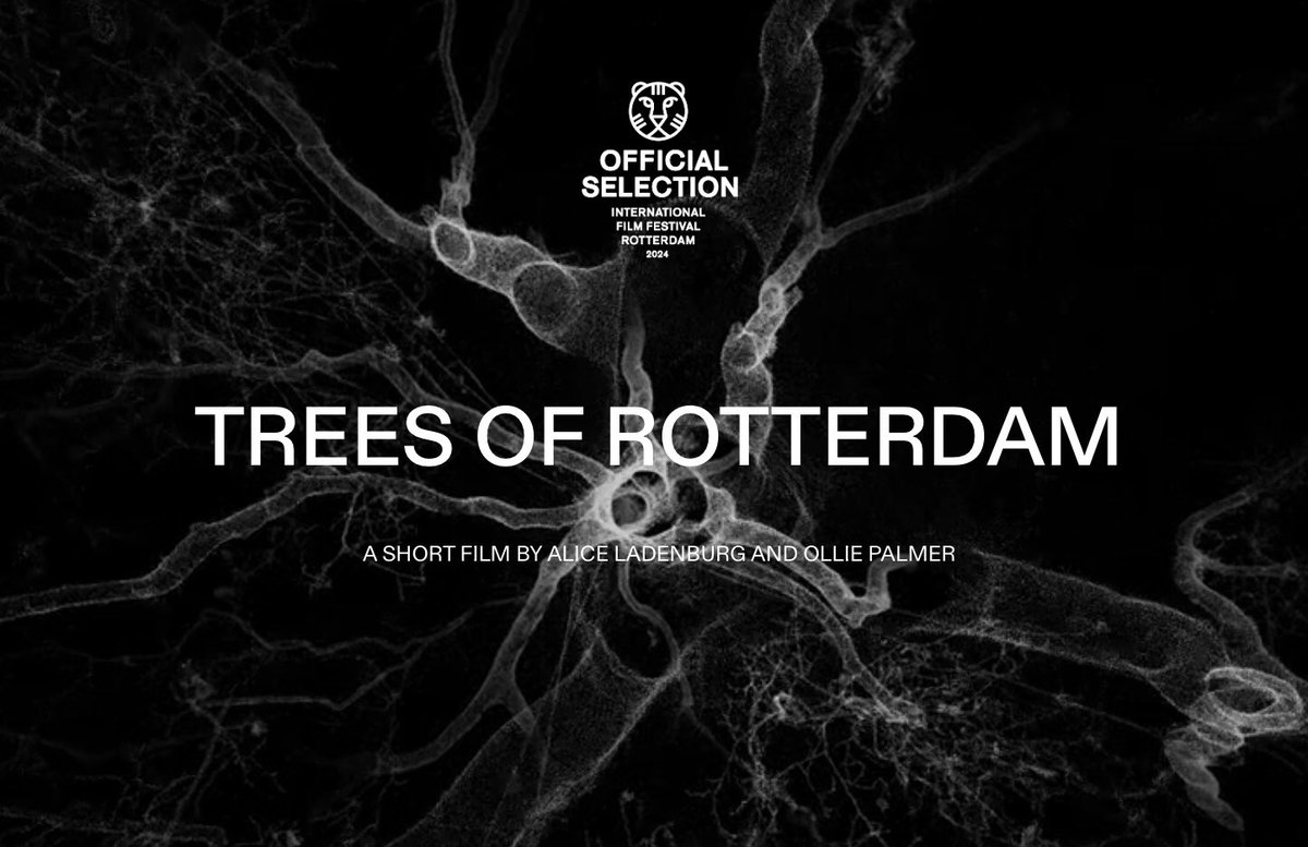 Trots op het eindresultaat van de korte film Trees of Rotterdam van Alice Ladenburg en <a href="/OlliePalmer/">Ollie Palmer</a>, waaraan ik een kleine bijdrage heb mogen leveren.
Nu vertoont op het International Filmfestival Rotterdam. <a href="/IFFR/">IFFR</a> <a href="/rotterdam/">Gemeente Rotterdam</a> 

treesofrotterdam.com