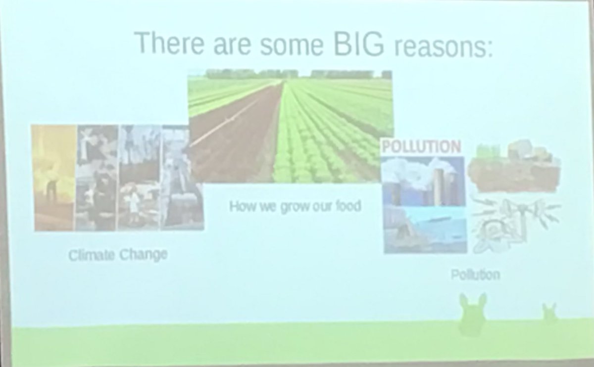 HilderthorpeSch's tweet photo. Roy came from the #RSPB to talk to us about caring for our world and the wildlife within it. #hildsci #hildcommunity #hildvalues https://t.co/aO9LHVP0VJ