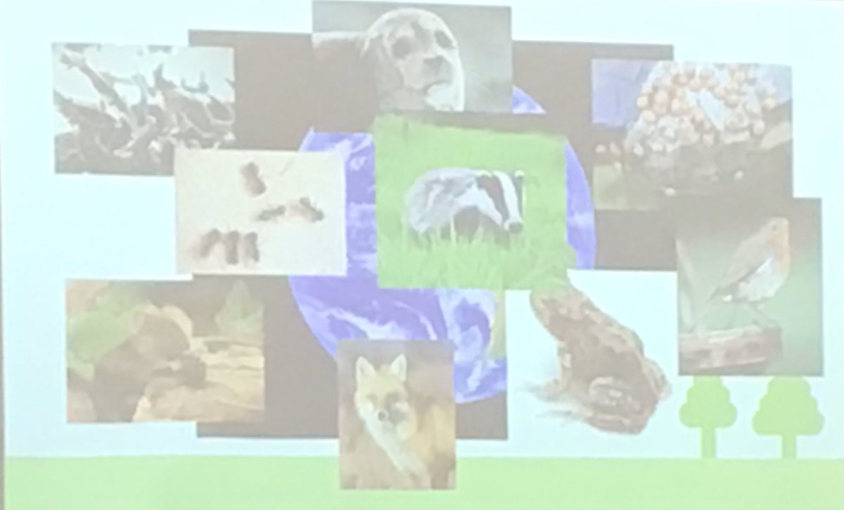 HilderthorpeSch's tweet photo. Roy came from the #RSPB to talk to us about caring for our world and the wildlife within it. #hildsci #hildcommunity #hildvalues https://t.co/aO9LHVP0VJ