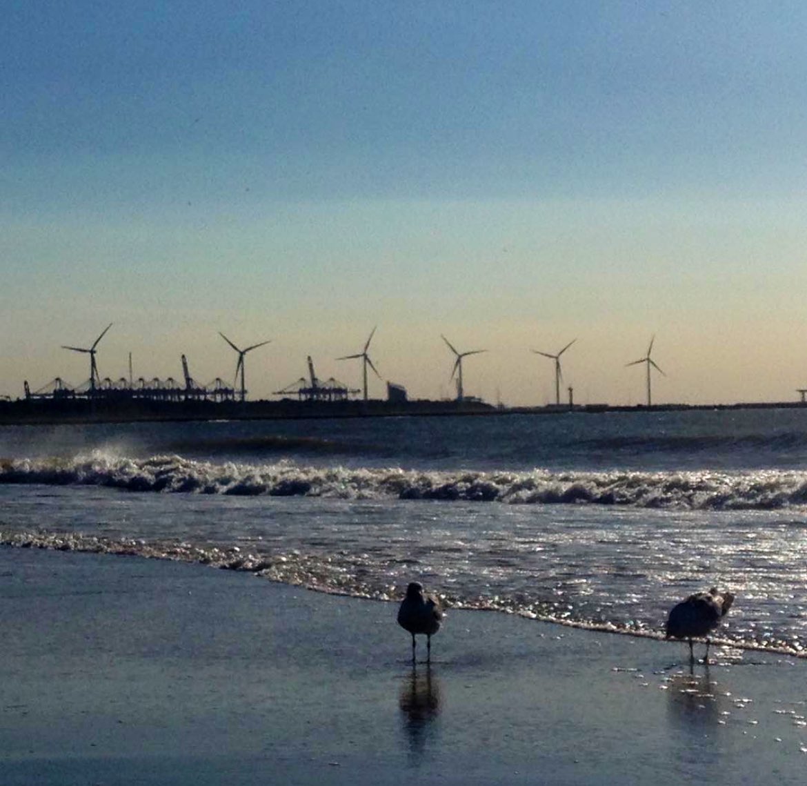 tobe_2019's tweet photo. July 2018 @ Hoek van Holland https://t.co/qdk78VUFL2