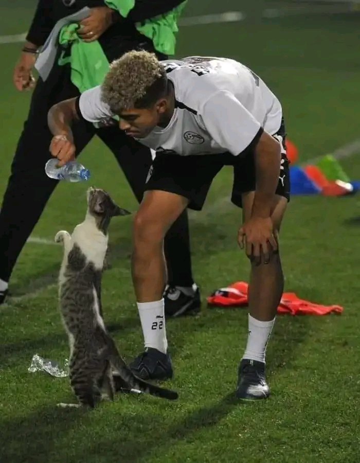 assi_ganme's tweet photo. #CAN2023 #CIV225 https://t.co/y9w3D9wjUu
