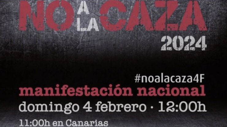 Este domingo 4 de febrero estaremos en Callao con nuestro presidente @DOMINGUEZLM para decir algo y claro NO A LA CAZA!!!