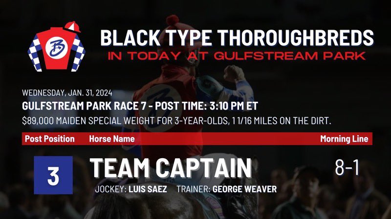 blacktypetb's tweet photo. #InToday at #GulfstreamPark: TEAM CAPTAIN looks to break his maiden in the 7th race at 3:10pm ET on @FanDuelTV! #BlackType #TeamCaptain #LFG https://t.co/yrSj6Epuwz