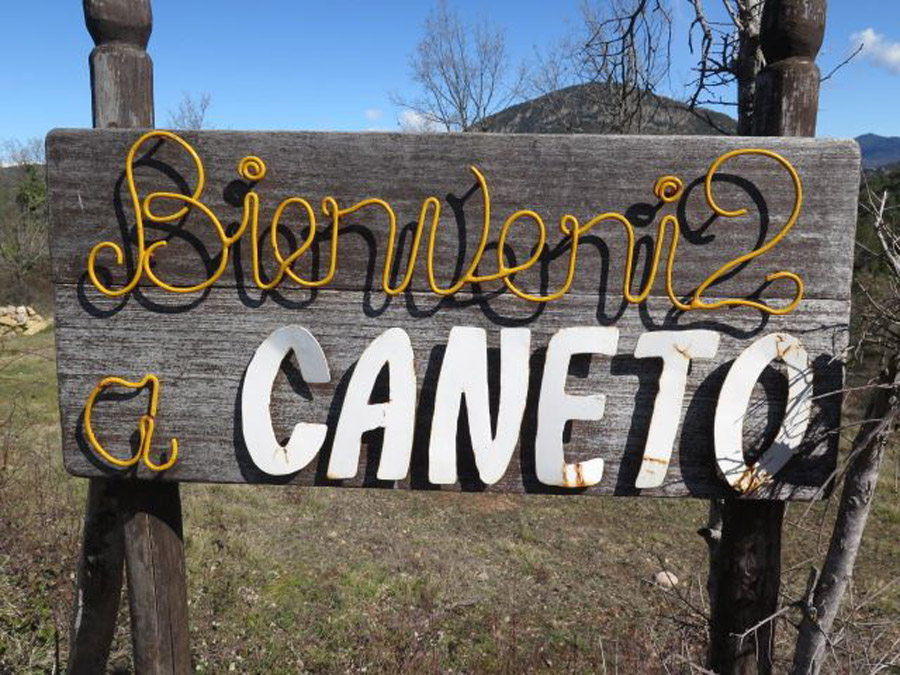 Diario Educación tweet media