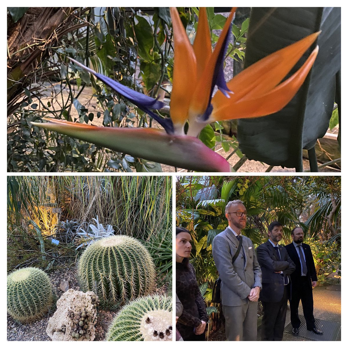 SwedeninCH's tweet photo. @UKEmbassyBerne has taken over the chair of the #greeningembassies network of Bern and invited the network to learn more about biodiversity at Bern’s botanical garden. Thank you 🇬🇧! https://t.co/tSjySzQamE