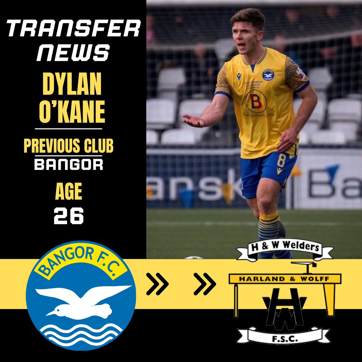 WeldersFC's tweet photo. Transfer News. 

H&amp;W Welders are pleased to announce the signing of Midfielder Dylan O’Kane. 

Dylan joins the Welders from fellow Championship side Bangor. 

Welcome to the club Dylan. 

#playrfitchamp #irishleague #transfers #transfernews #DeadlineDay #Football #Belfast https://t.co/KKVwWzjOPq