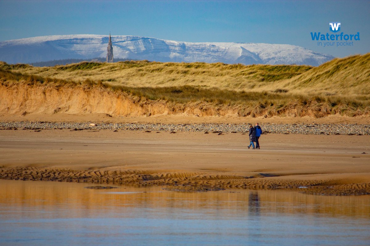 WaterfordPocket's tweet photo. A few pictures from yesterday that we took at #Saleens! The weather was absolutely beautiful with #snow seen on the #comeragh mountains! Great to see so much #wildlife! #Waterford what a place! 

#Ireland #Tramore #tramorebeach #ocean #sea #sandhills #sanddunes #birds #wild #life https://t.co/KwWpwIIBae