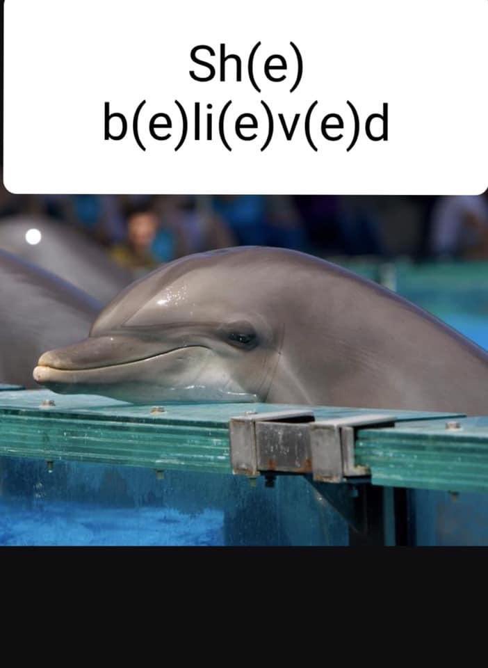 eeEEee_Coin's tweet photo. Snapshot done ✅ hold your dolphins we airdrop in batcheeEEees… https://t.co/TVEM45Facj