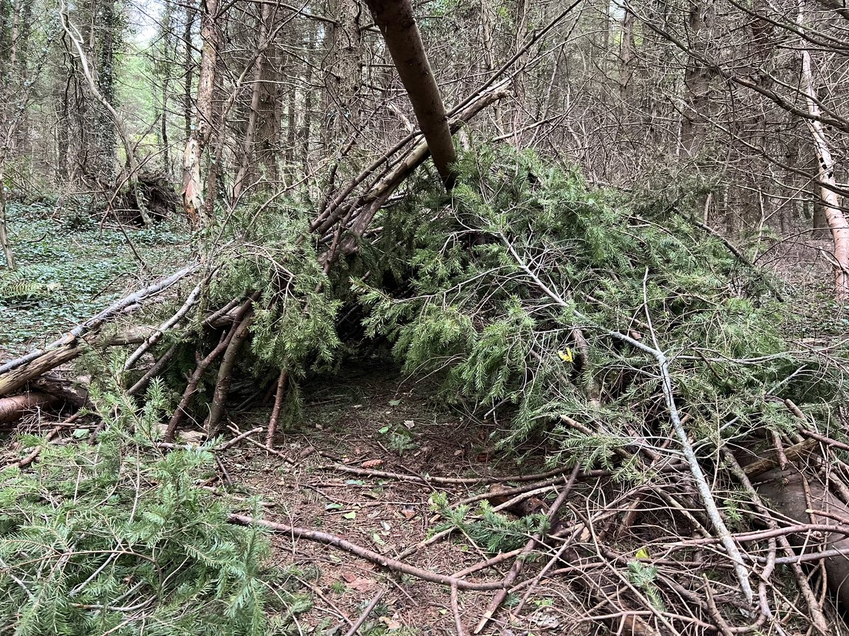 Shapesofgrief's tweet image. Where better to conduct coding for my Forest Therapy research than in the forest - someone left me a little research space this morning- I usually find a tree to sit against. @ginnybraun &amp;amp; Dr Vic Clarke thanks for the flexibility of #reflexivethematicanalysis, makes research fun!