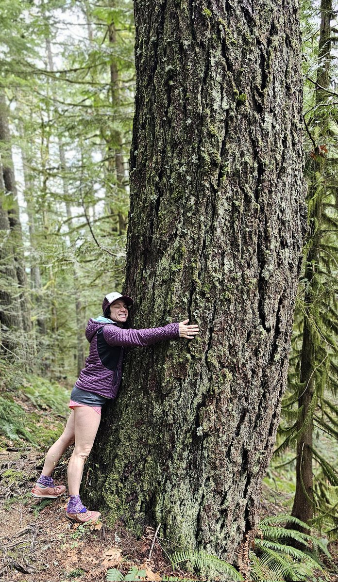 Rootedtreeomaha's tweet photo. Forest Love🌳💚
It's no secret, if you've met our team, we LOVE our forests. We value the time we get to discover new trails, learn more about the relationship between trees and dive deeper into how trees thrive.
#local #omaha #forest #treehugger #alwayslearning https://t.co/2xFKtWJmRJ
