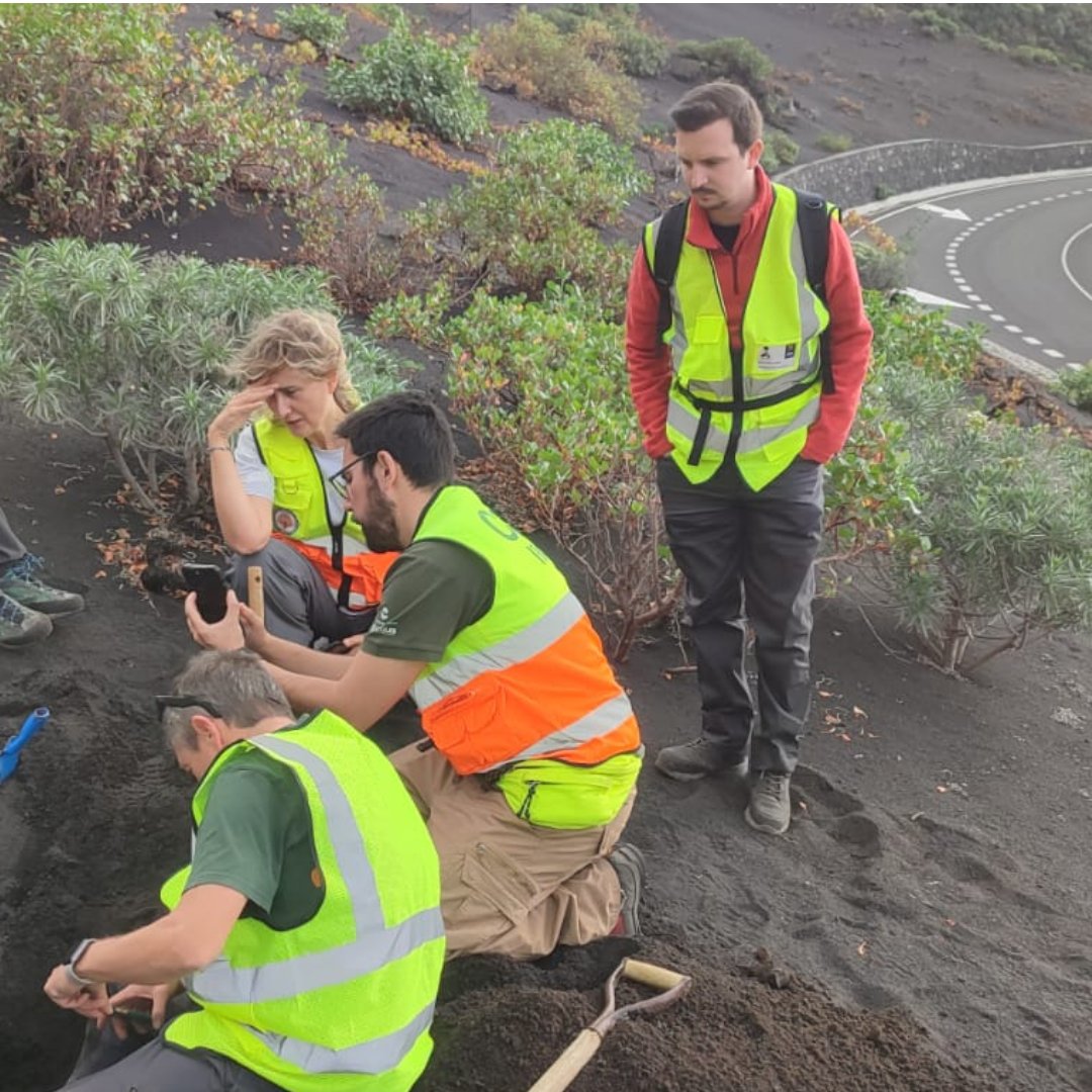 pablodeolavide's tweet photo. 🌋🪨 Un equipo multidisciplinar coordinado por la UPO y el @IRNAS_CSIC estudia en la zona afectada por la erupción volcánica de La Palma los procesos de regeneración de los suelos con el objeto de orientar en la preservación y el uso sostenible del territorio y de los ecosistemas asociados.

#geología #sostenibilidad #nanociencia #upoinvestiga 

https://t.co/9yarVUAkor