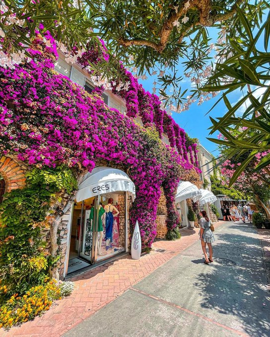 skpstaffs's tweet photo. Capri, Italy 🇮🇹 https://t.co/njXtdRkrn6