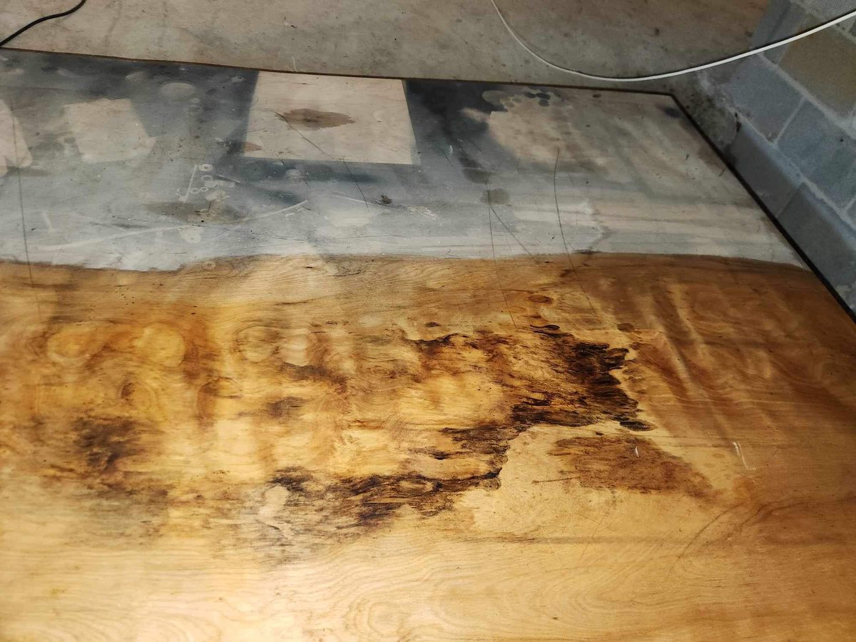 All of our technicians have a full supply of elbow grease! We don't mind doing the dirty work. Call us for mold remediation!
                            770-966-9987