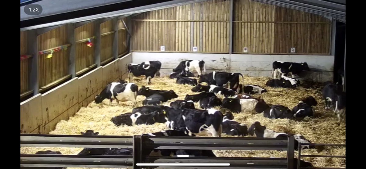 Dan Nattle tweet media