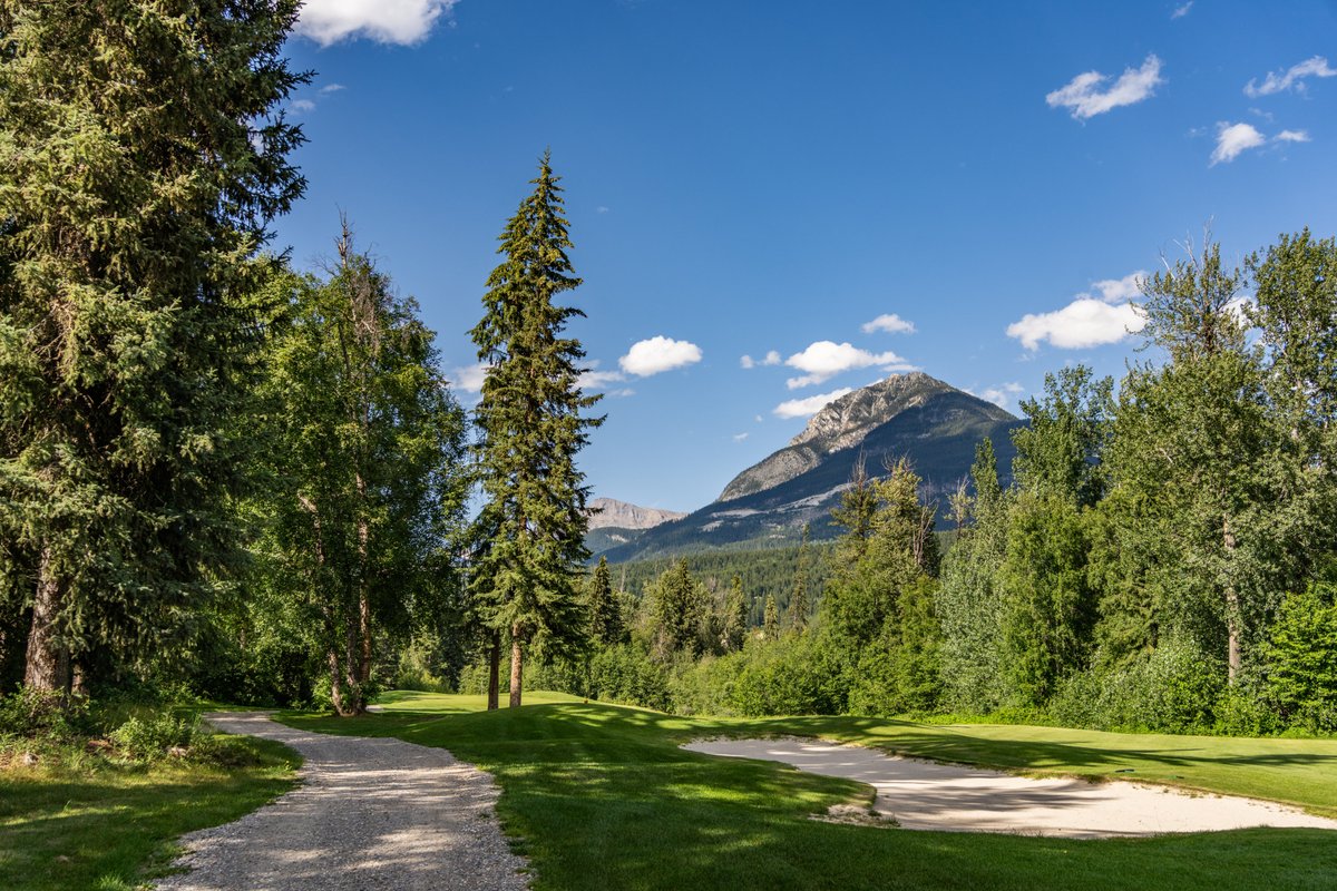 “Putting is like wisdom – partly a natural gift and partly the accumulation of experience.”
 
-Arnold Palmer

#GolfGolden #GoldenBC