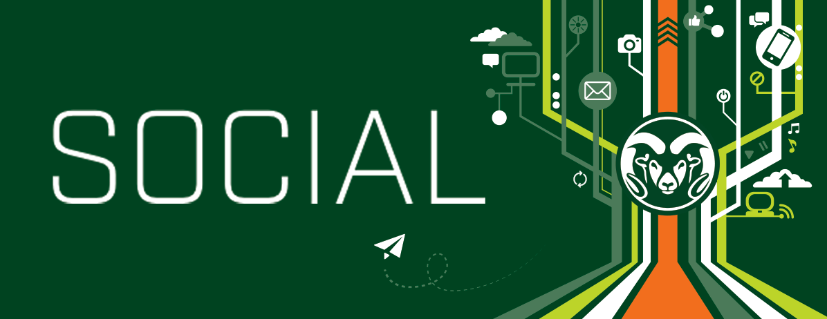 Kimberly Stern tweet media