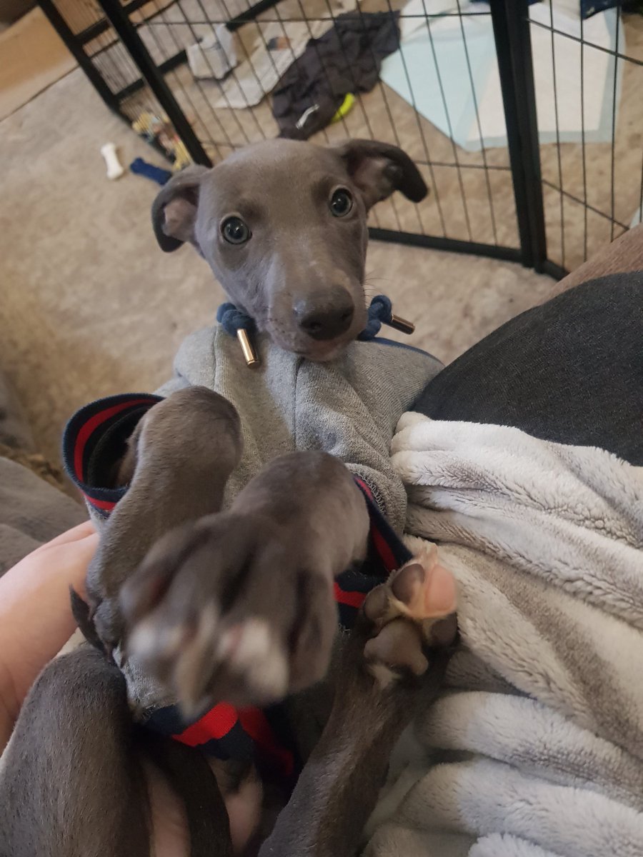 Love you, my silly baby donkey 💜💜💜