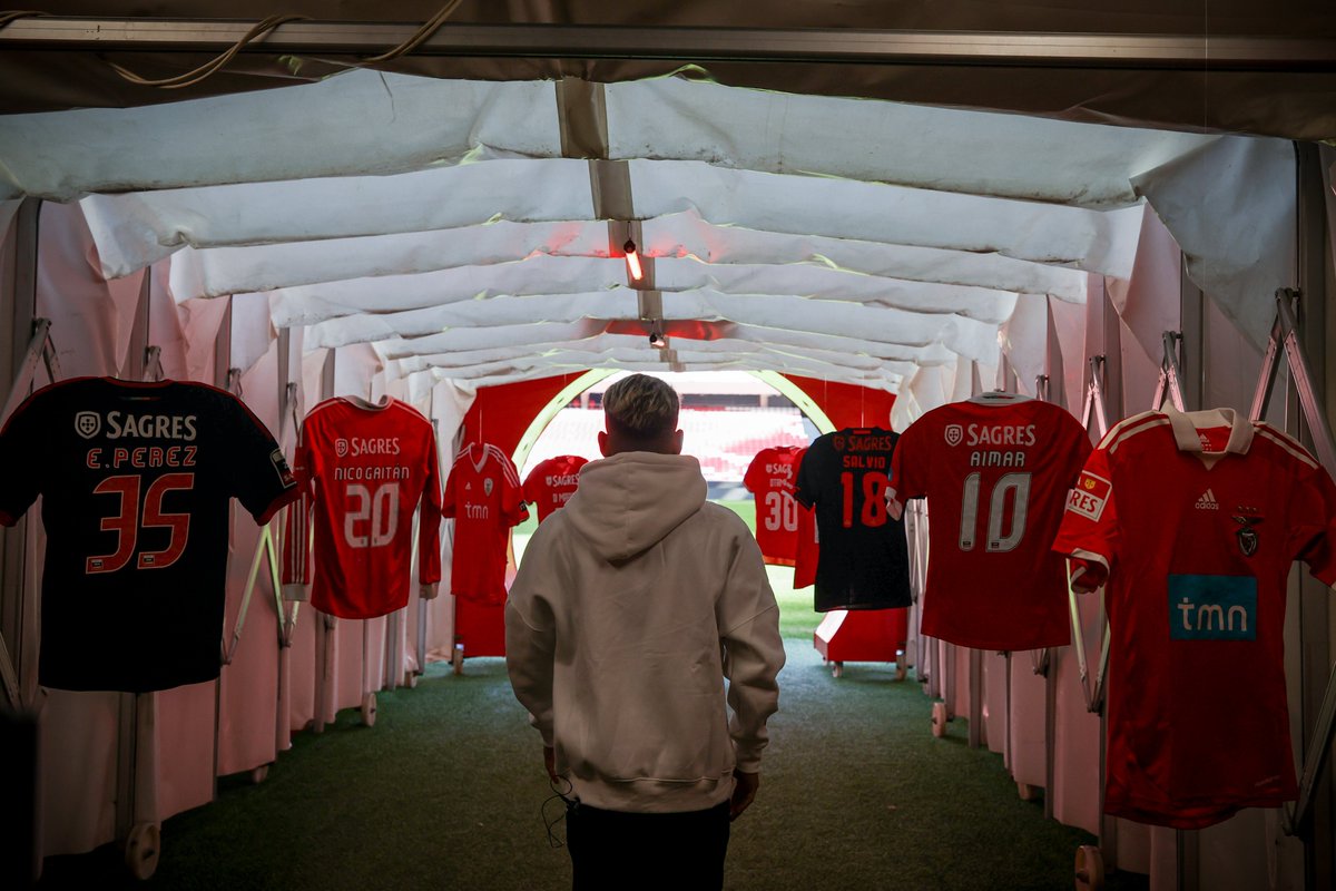 Benfica Pictures That Go Hard (@benfica_go) on Twitter photo 
