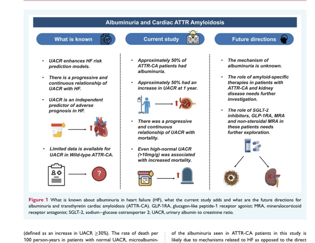 💥Kidney Involvement in Transthyretin Cardiac Amyloidosis
       👉Role of UACR 
#Editorial: onlinelibrary.wiley.com/doi/10.1002/ej…
Original Article: onlinelibrary.wiley.com/doi/10.1002/ej…
#nephrology #CardioEd #cardiology #Cardiotwitter #meded #nephropearl