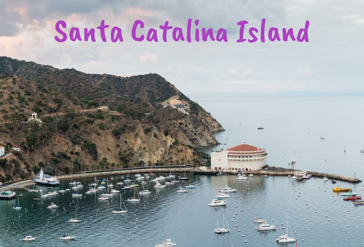 Catalina Island in California is somewhere I visited on a family trip. The places close to SoCal where we lived would be a Sunday drive. The more distant were summer road trips. enjoytheviewtouring.com #FamilyAdventures #TravelWithKids #FamilyVacation#FamilyTravelGoals