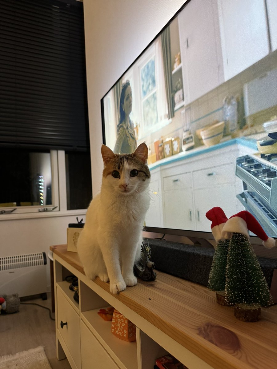 efsaneaky's tweet photo. Biblom😻 https://t.co/dCKWbPhTt0