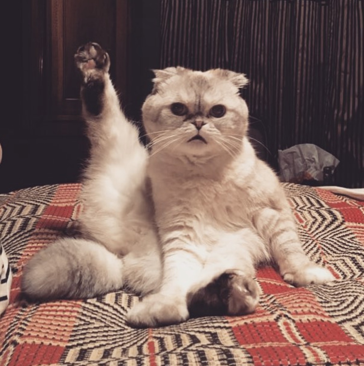 taylornation13's tweet photo. We are all stretching to prep for that tour choreo. One more week until our first #TSTheErasTour show of the year! https://t.co/9NS6aeL4na
