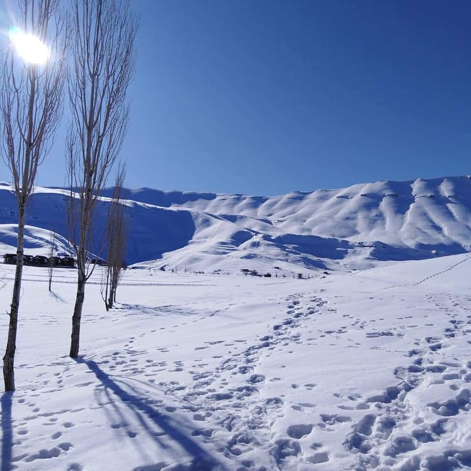 Mi_Daffodil's tweet photo. Thank you so much "His Bite Trilogy"!!!💖
Snow will always remind me of you!🌨️
@VentreCanard_Wp
#HisBite
#Bitten 
#HiddenBite https://t.co/ySVETHTIs8