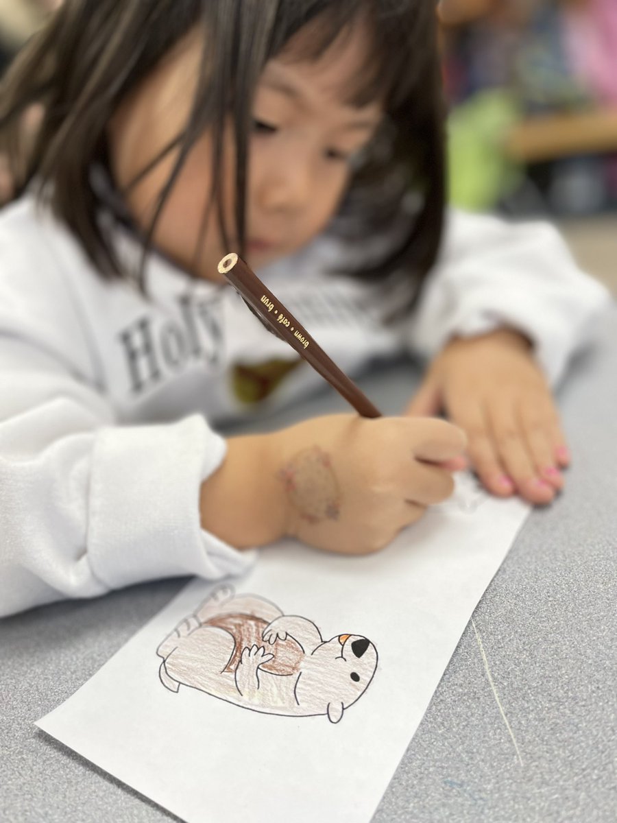 HTS_Kindies's tweet photo. Ask us about getting ready for #GroundhogDay.🗓️🔎📊 ?#predications #BetterTogether❤️ @HTS_MsRanieri @HTSRichmondHill https://t.co/gjCwe1b2G6