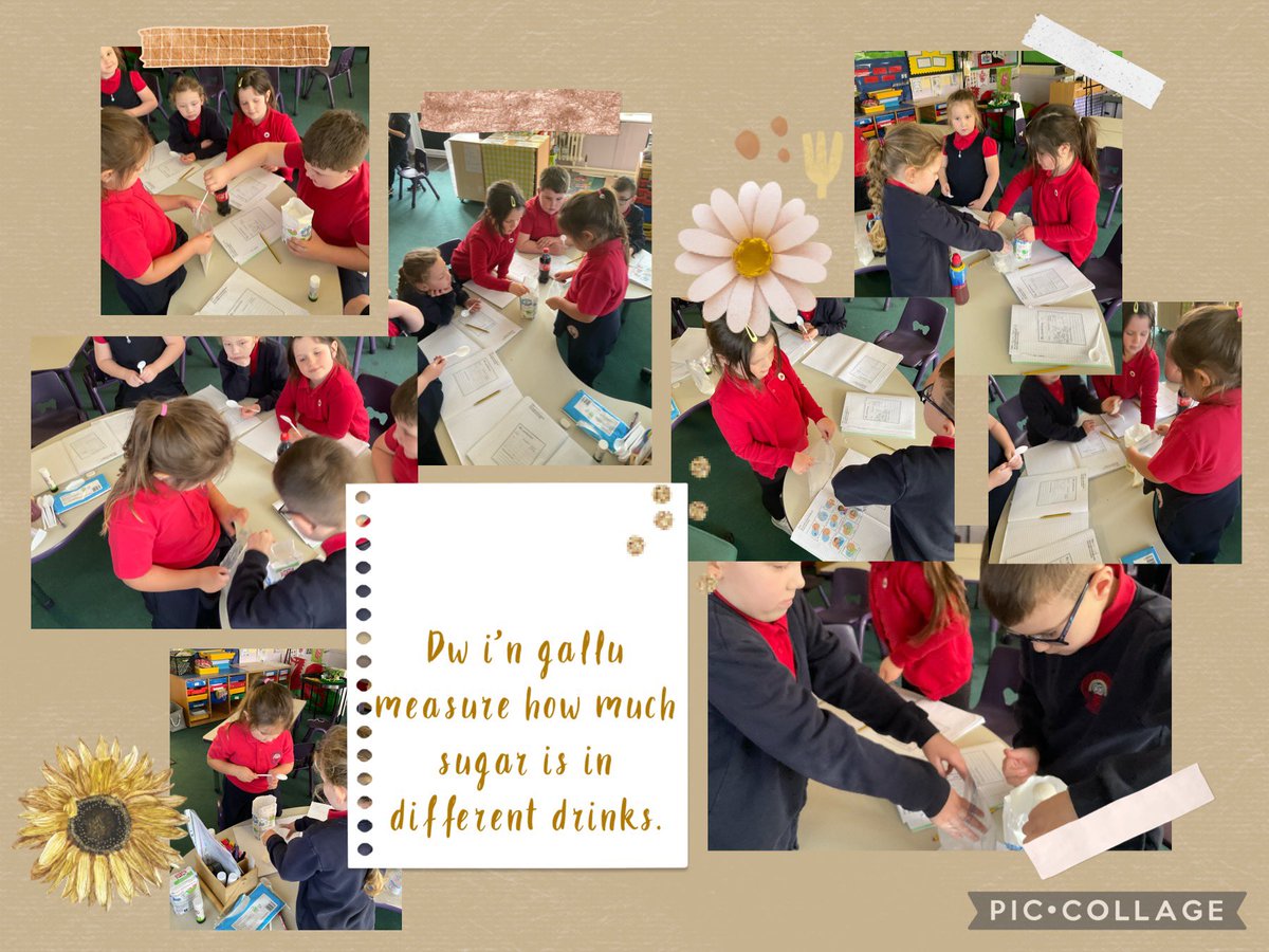 We have been looking at how to keep ourselves healthy in Dosbarth Ebwy this term and we enjoyed working out how much sugar was in each of these drinks. #sugar #healthy #healthyeating