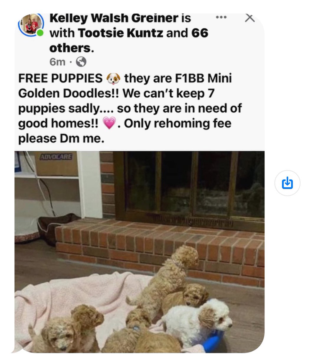 KelleyGreiner's tweet photo. @Meta @facebook @fbsecurity Please do something about these posts on my hacked FB page! 3 months and still no answer after multiple reports https://t.co/K1bEmzlXaU