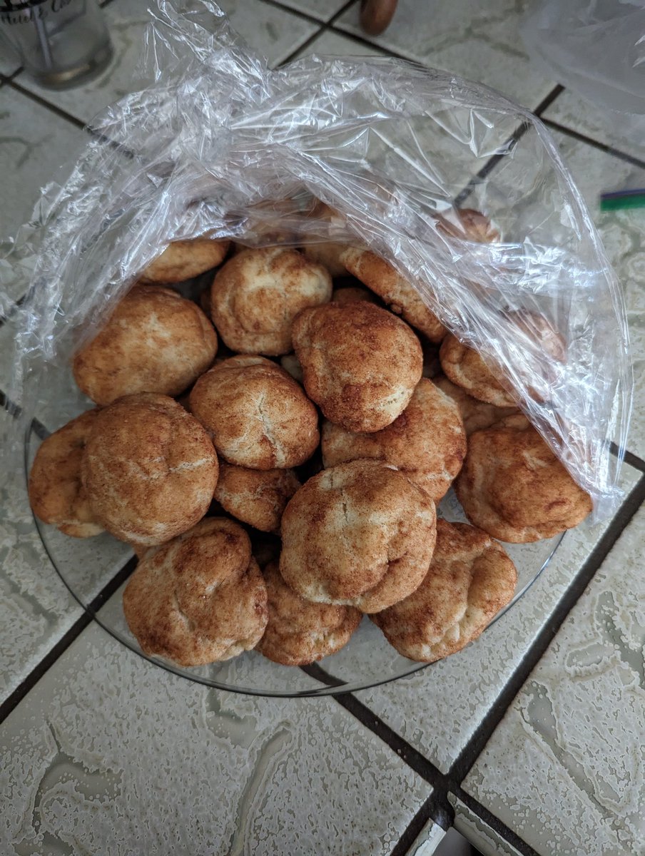 Made snickerdoodle cookies with tallow, so delicious and quite healthy!!