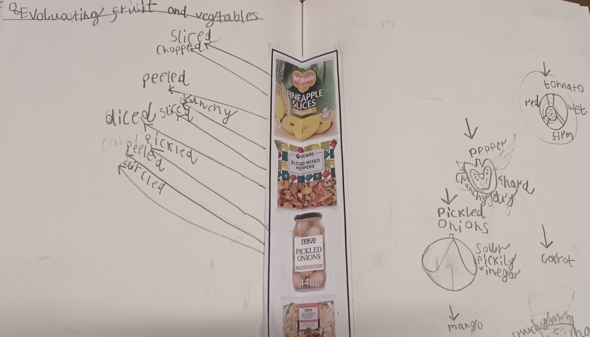 GarstonY2's tweet photo. In our DT, we began by looking at vegetables, discussing what process they'd been through and then tasting them. The Eat Well Guide helped us identify healthy foods. We can't wait to make our healthy kebabs with our designs.
@GarstonCE 
@MissDeanREMAT 
@MissKnipeREMAT https://t.co/RXzqmV8iFp