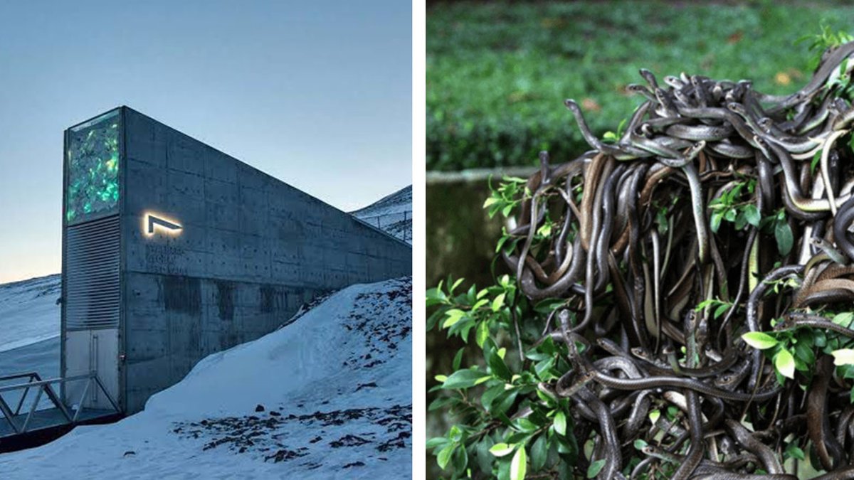 Lugares prohibidos del mundo que NUNCA podrás visitar.

🧵Abro hilo: