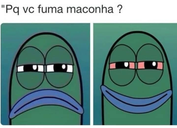 Chapo Do Chong (@chapodochong) on Twitter photo 