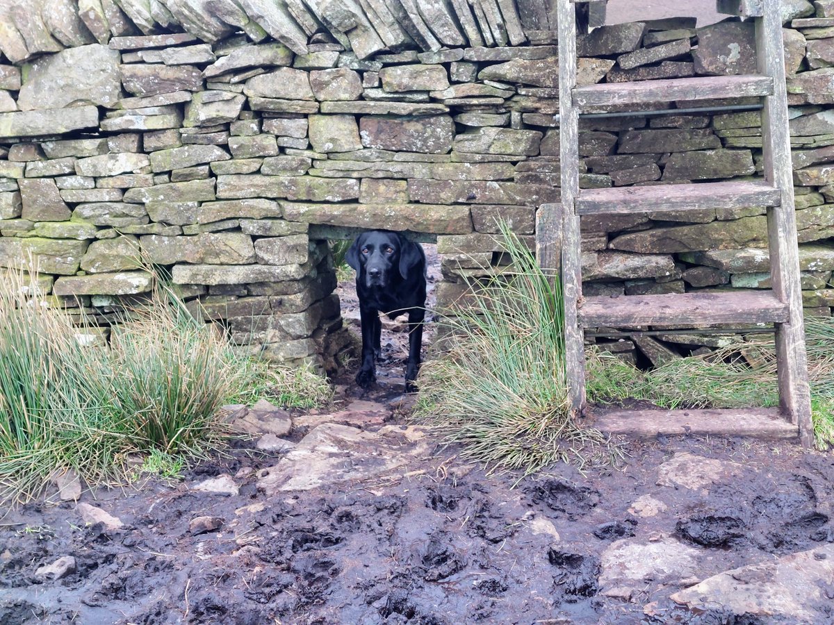 Stiles. 
Not for me.