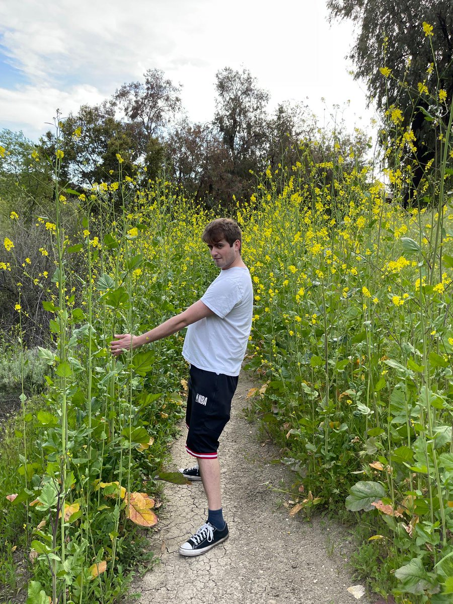 Tropical🌴 tweet media