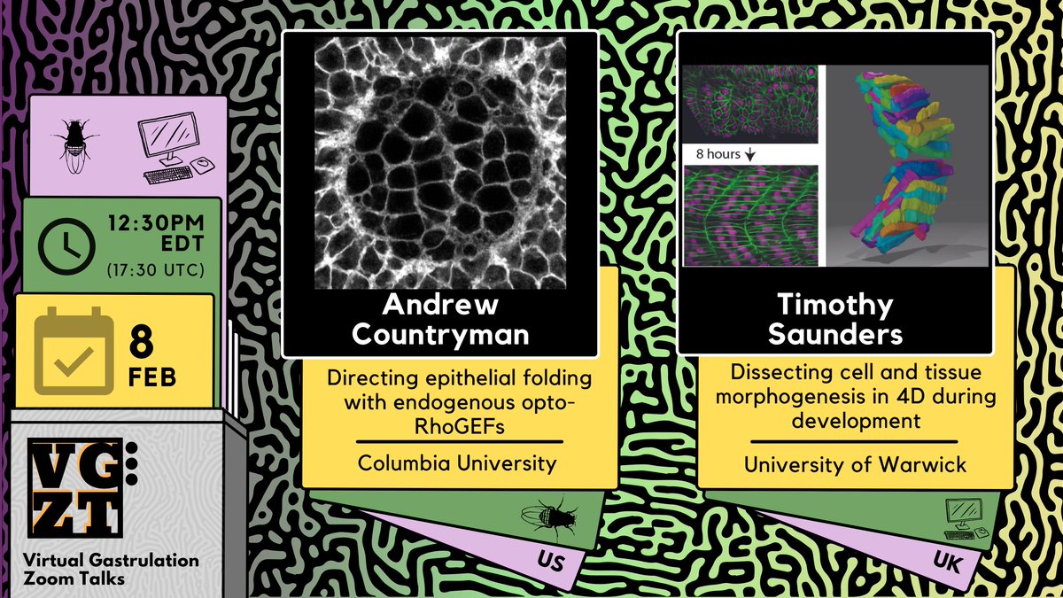 Virtual Gastrulation Zoom Talks tweet media