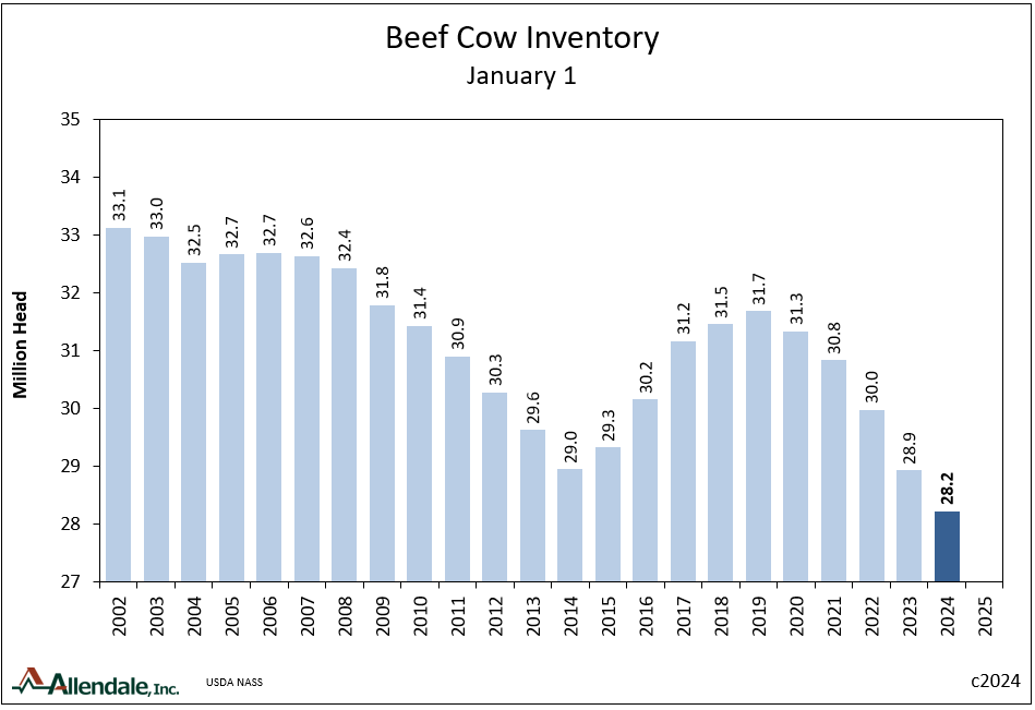 RichNelsonMkts's tweet photo. Headline numbers for bi-annual Cattle report were near expectations. Jan 1 beef+dairy All Cattle &amp; Calves -1.9% year/year. Beef cows -2.5% year/year. Beef cows -11% over five years. https://t.co/fN1J9u43FB