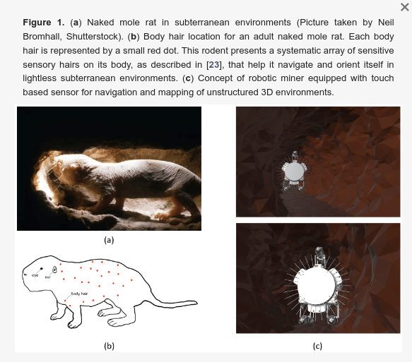 OpenRoboticsOrg's tweet image. Anyone want a naked mole rat robot that runs #ROS 2?

mdpi.com/2313-7673/9/2/…