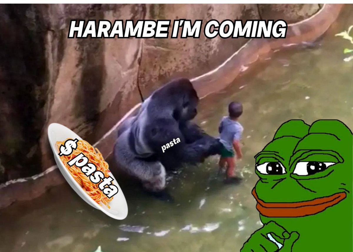 HARAMBE LOVED $PASTA 

RIP TO THIS LEGEND

t.me/copypastasol
