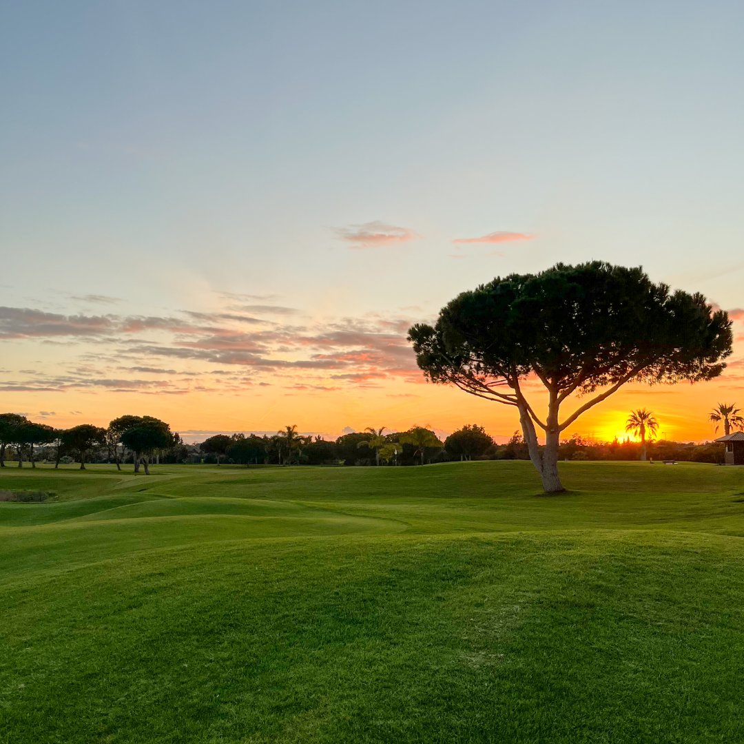 longniddry_pro's tweet photo. When is your favourite time to play? 🌤️ #LongniddryProShop

RT: Sunrise
Like: Sunset https://t.co/7PeBKTSFCX