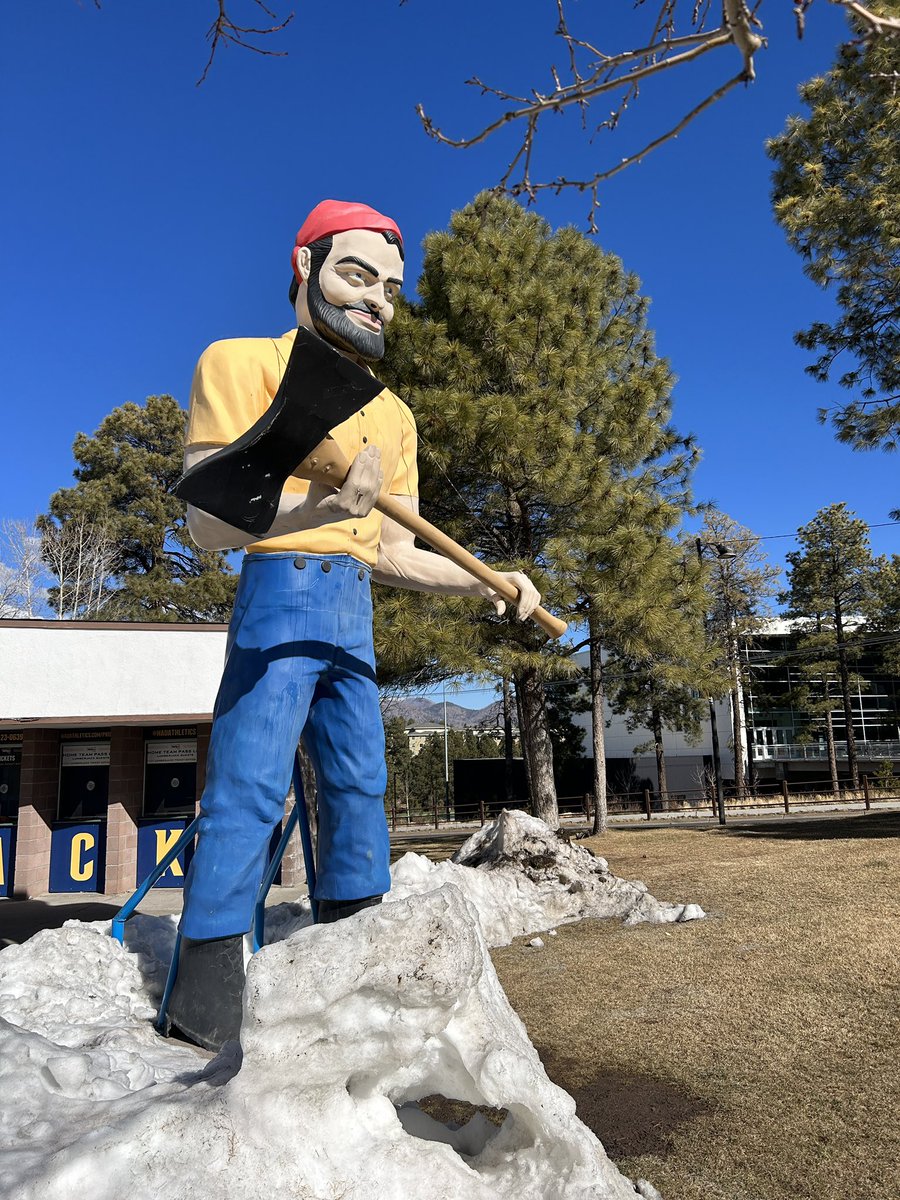 Adam Clark tweet media