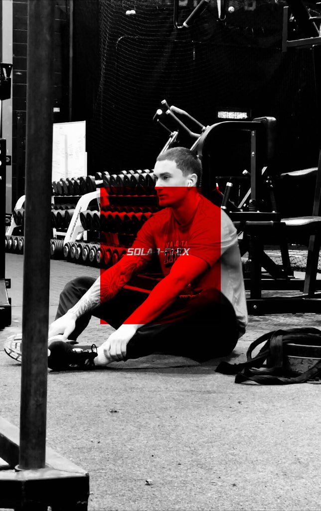 SOLAR-FLEX™️ tweet media